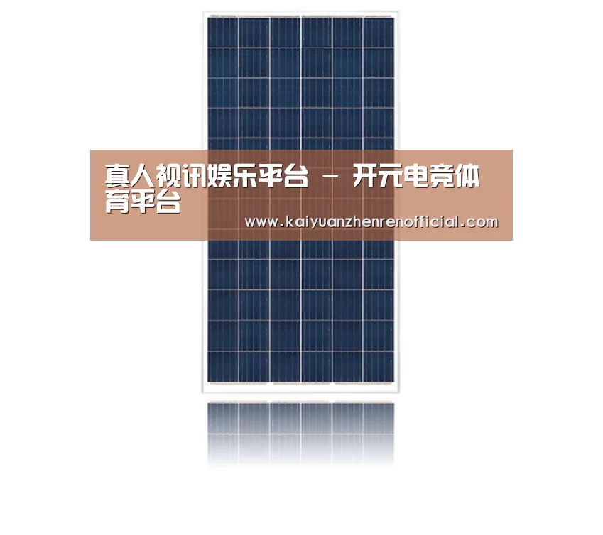 产品名称一