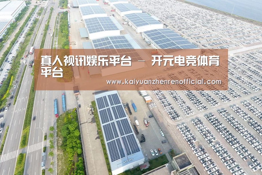 案例展示一