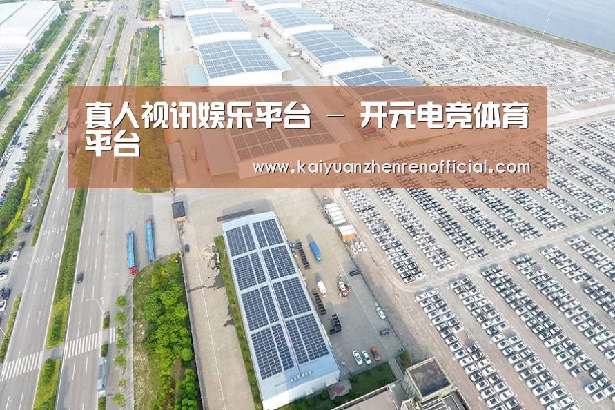 案例展示一